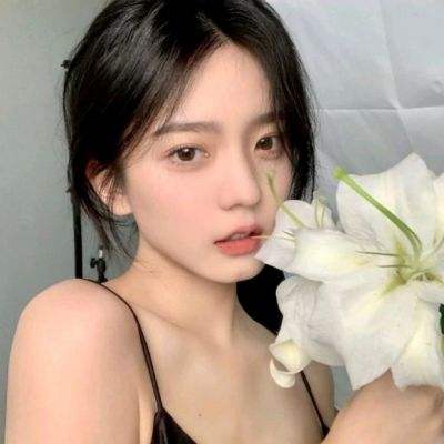 达叔传奇破解版下载